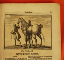PFERDEZUCHT, ESEL, MAULTIERE, 1722, NUTZTIERZUCHT