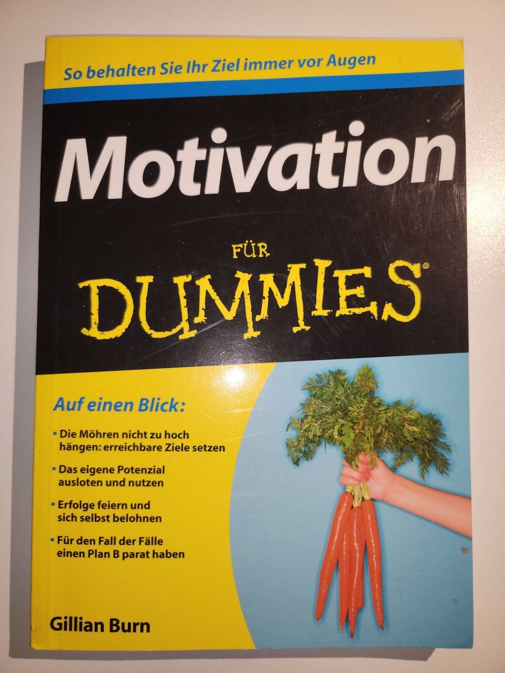 Libri: Motivations für Dummies – Usato da Dietikon venduto da Buchantiqdietikon