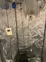 Grow tent Hydroshoot HS80 80x80x160cm usata