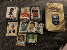 386 Panini Karten