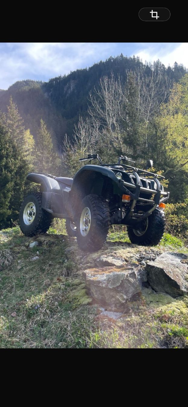 Yamaha ATV / Quad: Yamaha Quad Grizzly 660 – Usato da Zizers venduto da boomer76101 1