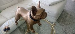 Dekorative Bulldogge Statue, goldfarben, neuwertig!