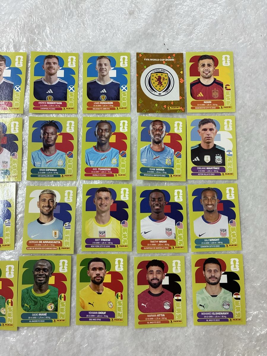 Panini Carte collezionabili: Panini WM 2024 Sammelbilder – Usato da Emmen venduto da paesu6 1