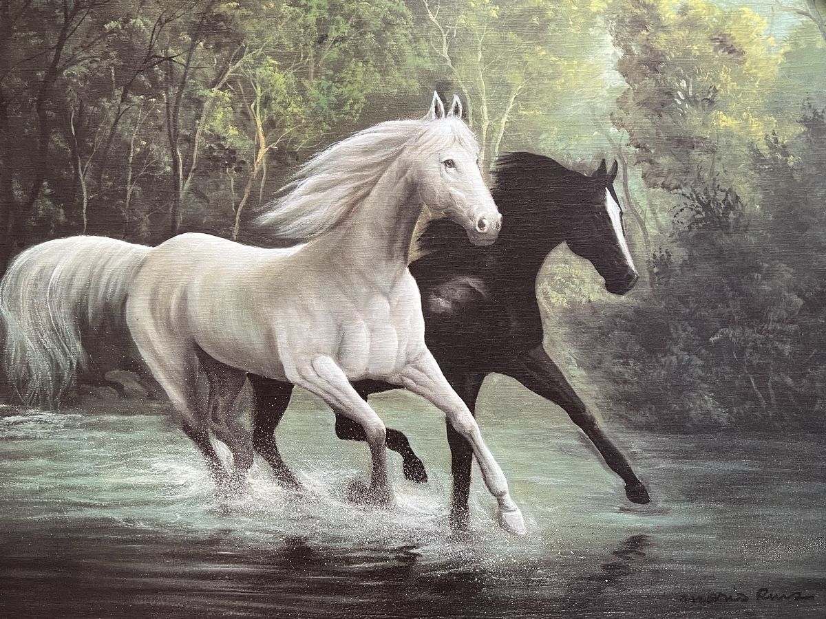 Foto & Immagini: Bild Pferde 50x70 cm – Usato da Winterthur venduto da Fredy972