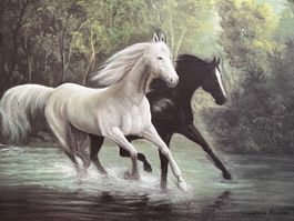Bild Pferde 50x70 cm
