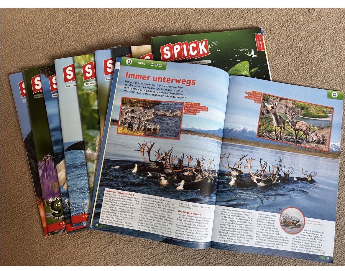 Riviste & Magazine: SPICK Magazine 10er bundle – Usato da Dürnten venduto da lil_b5jv 2