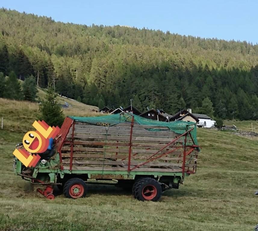 Trattori: Vendo 2 Schilter Lt1  – Usato da Biasca venduto da Capon68