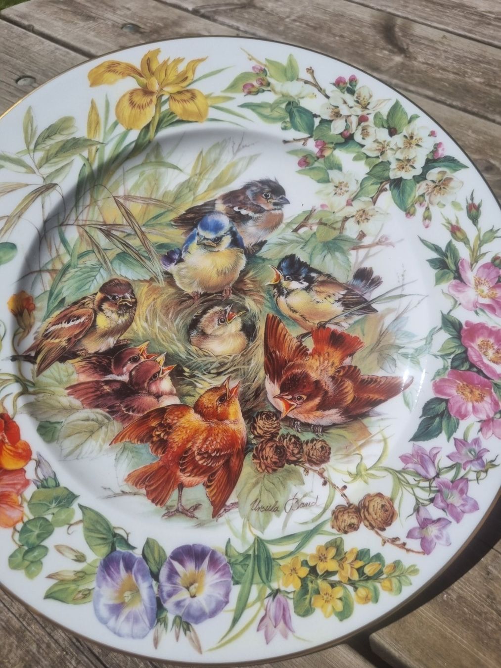 Hutschenreuther Piatti: Assiette de collection,  Ursula Bands,hutchenreuther – Nuovo (secondo la descrizione) da Fribourg venduto da sal_5ln6 2