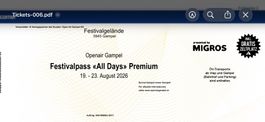 2   Stück Festivalpass Openair Gampel All Days Premium 2026