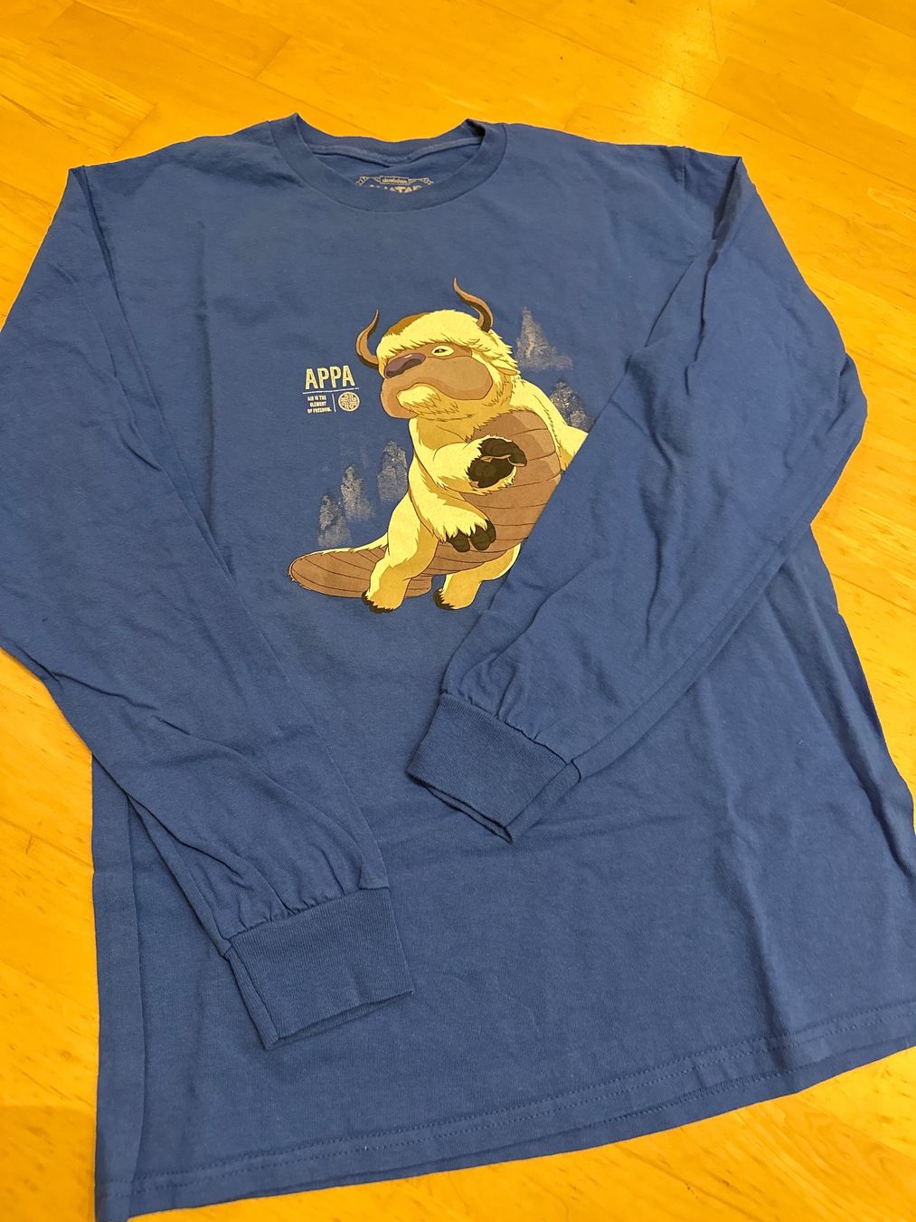T-shirts: Longshirt Avatar - the last Airbender – D'occasion à Henggart par Pitschli20 1