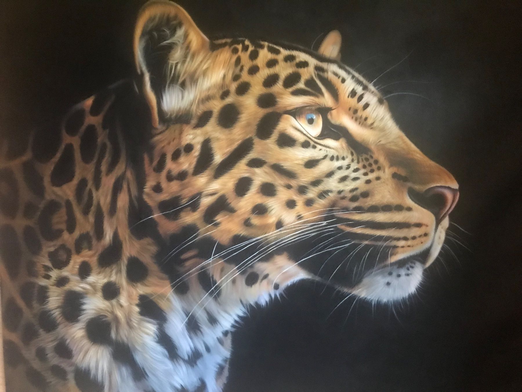 Tableaux: Leopard handgemalt Bousie – D'occasion à Eichberg par Ranney