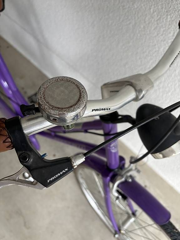 Biciclette: Fahrrad Totem – Usato da Wattenwil venduto da 12stonesgerry 2