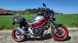 Suzuki SV650, Jg. 2019, Top Zustand, KW56 Sondermodell
