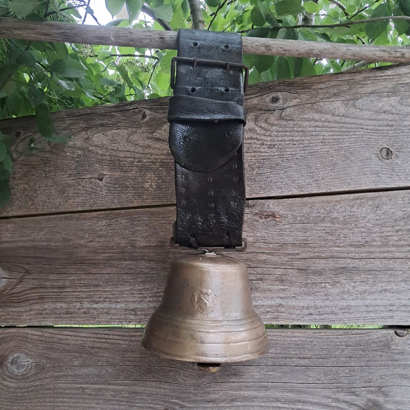 Campanacci mucche: ALTE/ANTIKE BIAGGI GLOCKE  – Usato da Murten venduto da SHETHOF
