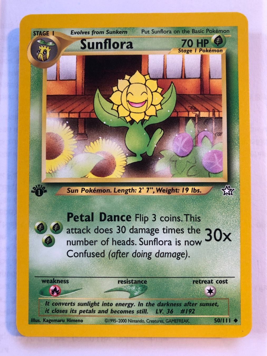 Carte collezionabili: Sunflora (unc.) 1st Neo Genesis - MINT - ab 1.- – Usato da Giubiasco venduto da dan_pr8b