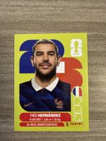 Panini Fifa FRA 3
