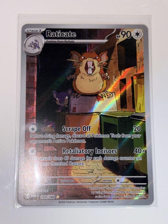 Pokemon Karte Perfect Order Raticate EN 099/088 (Gebraucht) in Galgenen ...