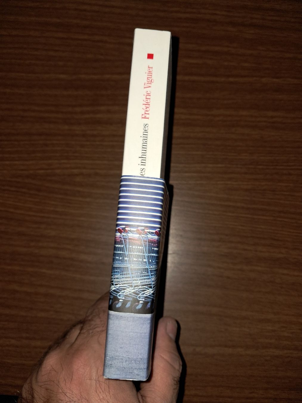 Bücher: Ressources inhumaines Roman de Frédéric Viguier – Gebraucht aus Le locle von juliensaran 1