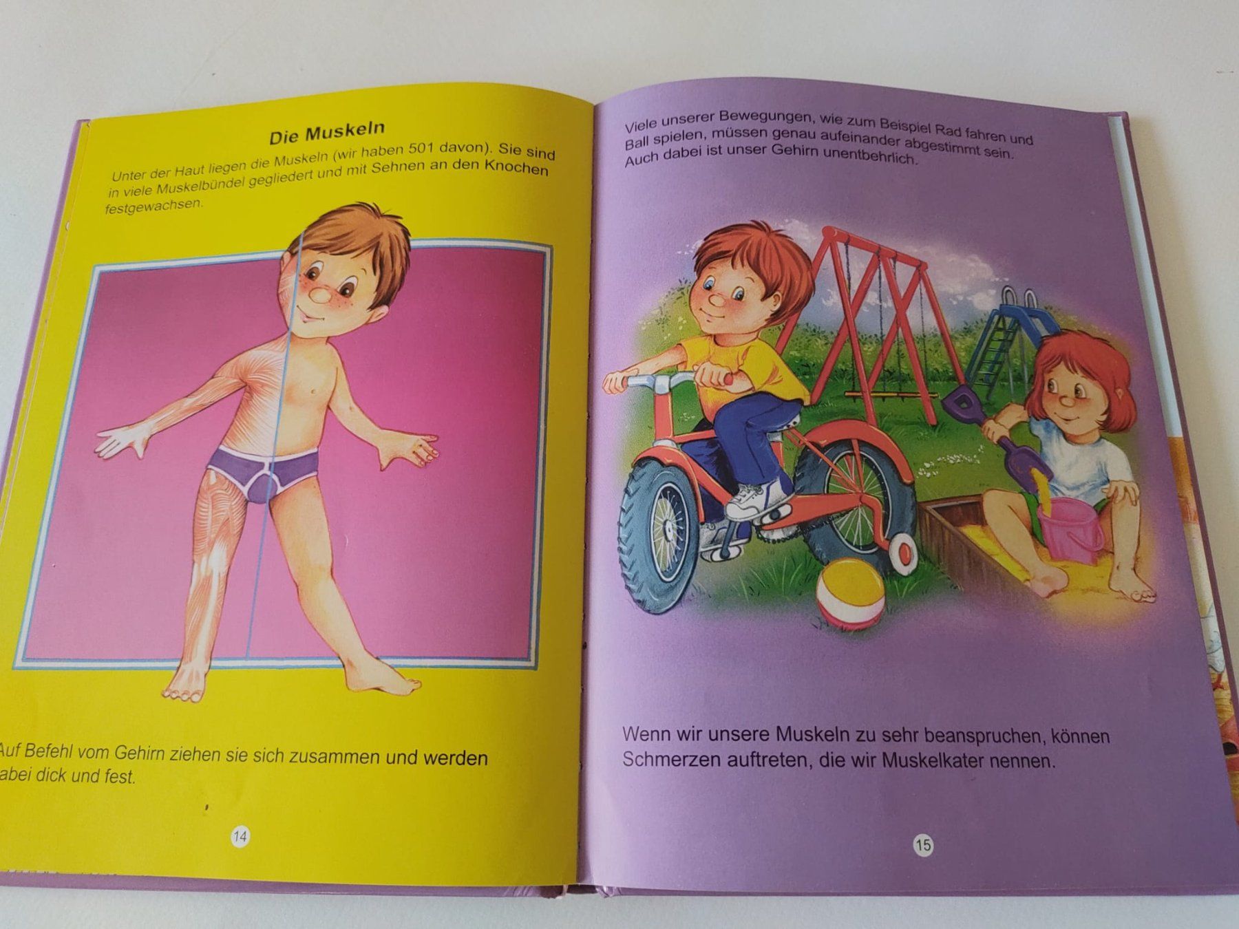 Libri: Buch "Der Körper Die Uhr" – Usato da Strengelbach venduto da Phorensic_30 1