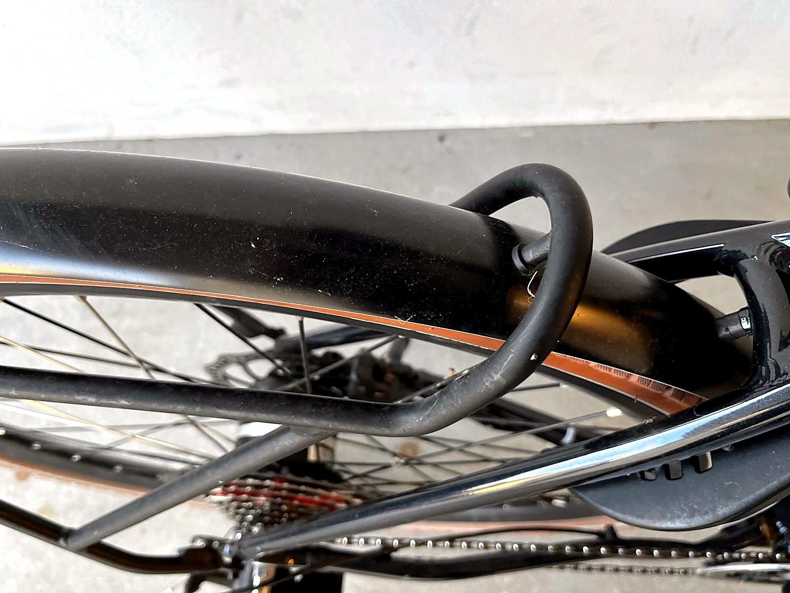 Ego Movement Biciclette: EGO Movement Skarabäus Flow E-Bike – Usato da Baar venduto da mar_5qp6 4