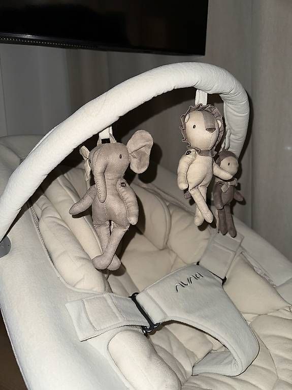 Nuna Bascules & balançoires: Nuna Babywippe leaf grow – D'occasion à baar par may_8fwr 3