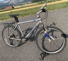 Diamondback Fahrrad silber gebraucht mit Gepäckträger