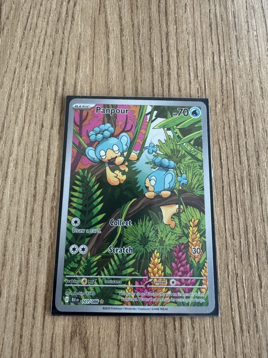 Pokémon Carte collezionabili: Panpour 101/086  – Usato da Bellinzona venduto da Yanpa