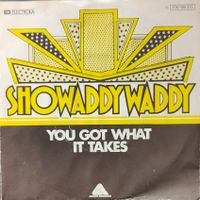 Vinyl-Single Showaddywaddy - You Got What It Takes