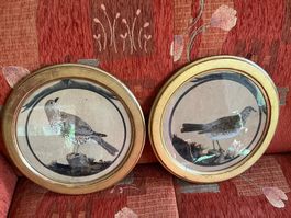Zwei gerahmte Vogeldarstellungen Oval Goldrahmen