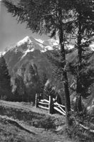Grächen