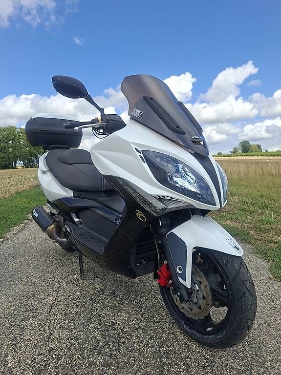 Scooters: Kymco Xciting R300i  – Gebraucht aus Meyrin von ant_2tk9