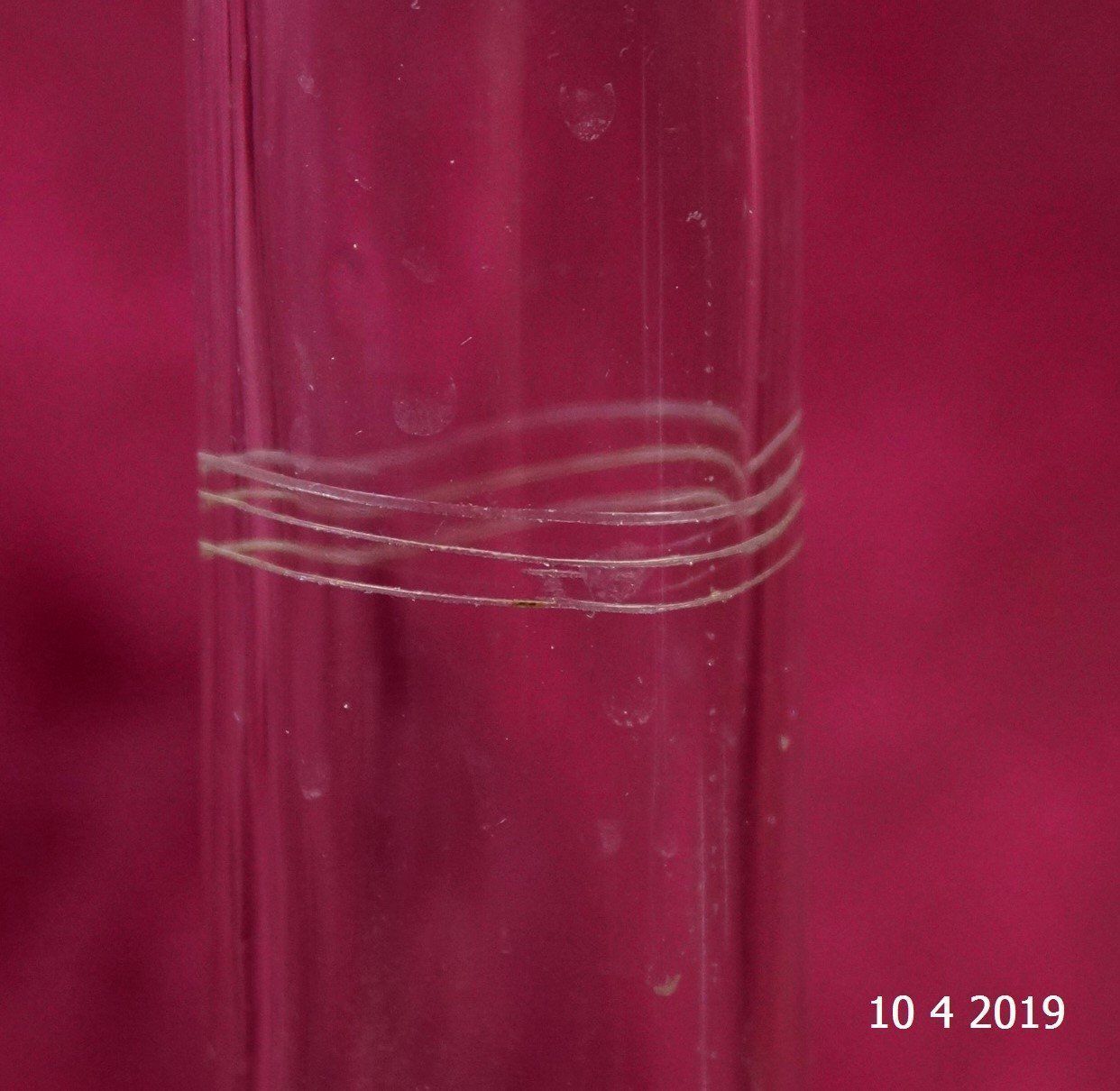 Carafes: Glas Karaffe mit Gravur – D'occasion à Basel par The_Onliners 1