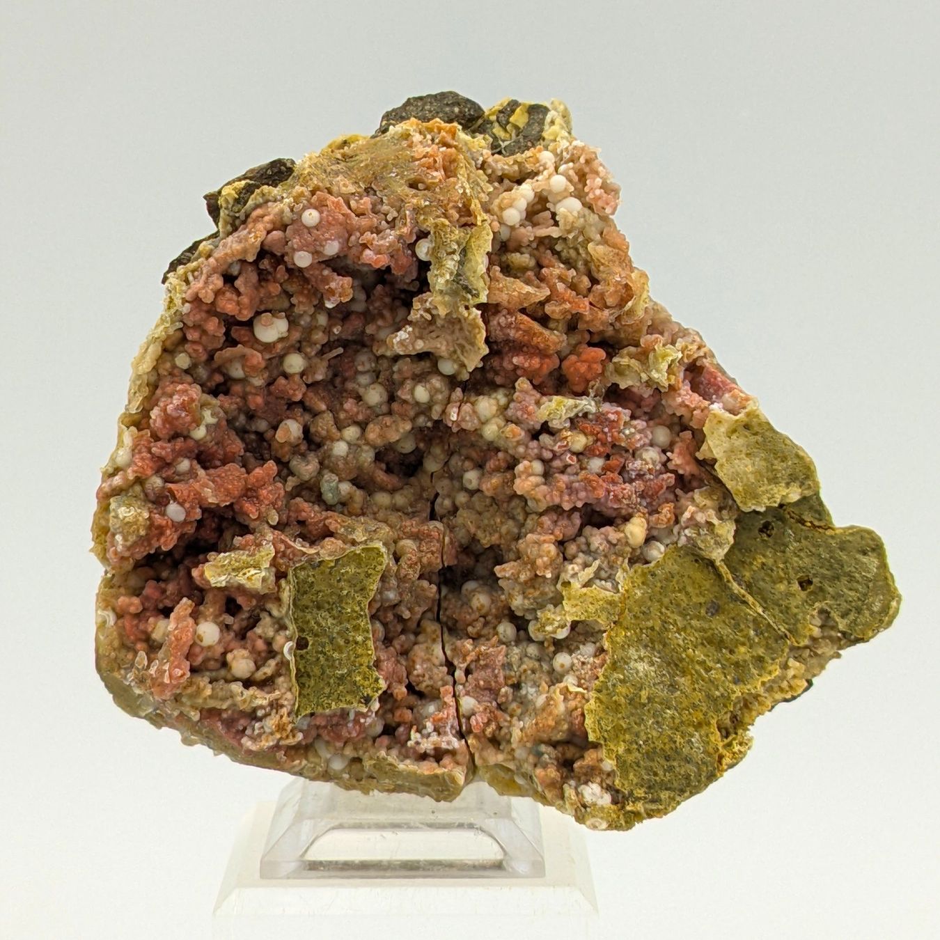 ROTER und ROSAFARBENER CHALZEDON auf GRÜNER Matrix, Sardinie (Nuovo ...