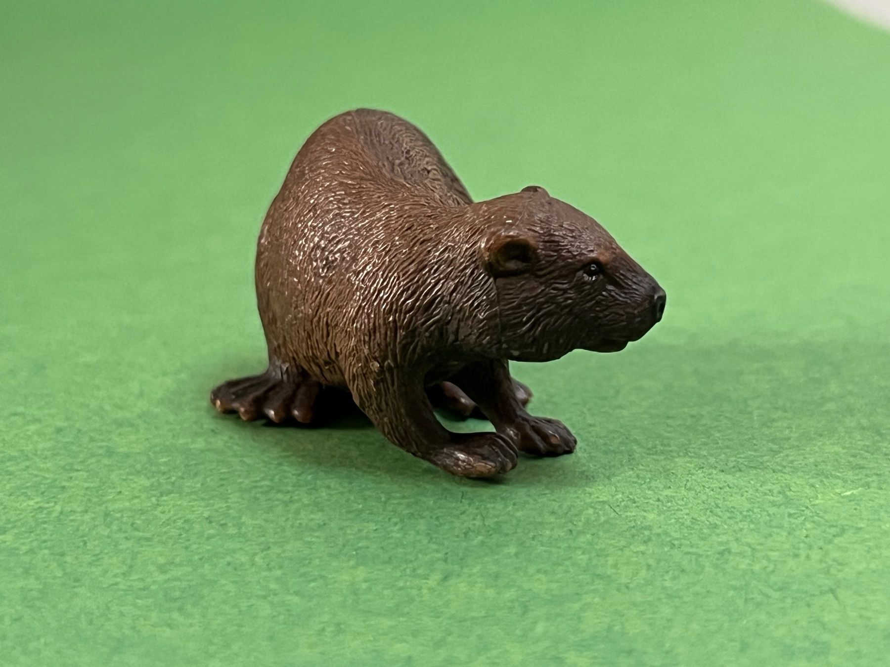 Schleich Statuette: Schleich Biber 14693 Tier – Usato da Ennetbaden venduto da mapa05 3