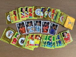 WM Panini 2026 über 150 Sticker + 5 COLA STICKER