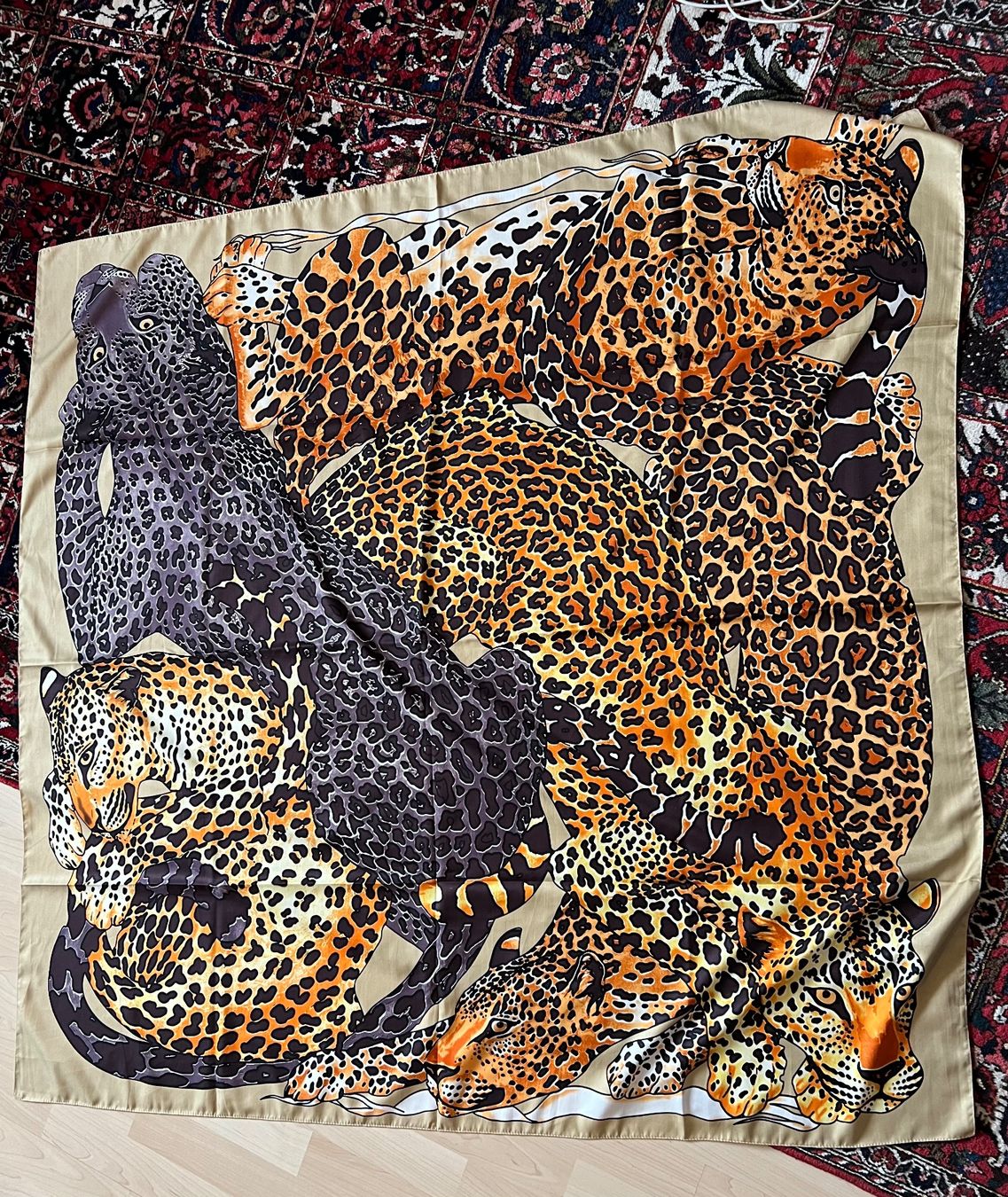 Foulard & Sciarpe: Edler Seidenschal mit Leopardenmuster, neu – Nuovo (secondo la descrizione) da Zürich venduto da Girasole232 2