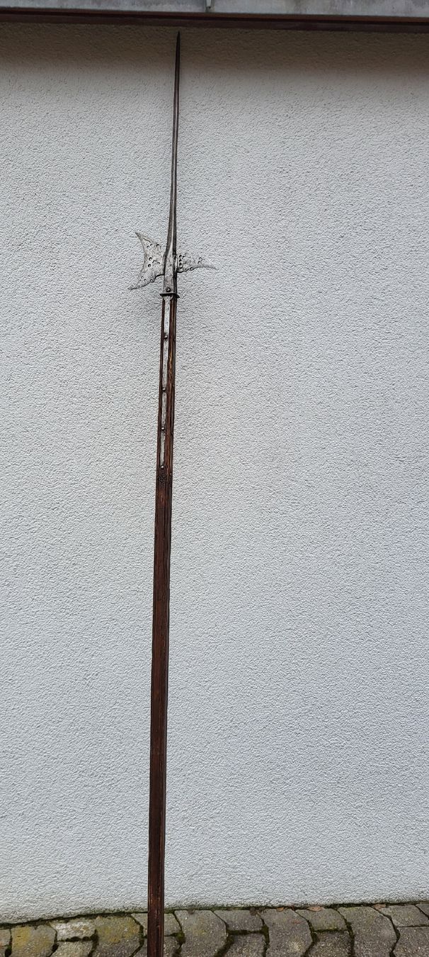 Armi bianche: Prunk Helebarde Antik Orginal – Usato da Degersheim venduto da Sonnenbiene55 6