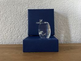 Swarovski SCS Briefbeschwerer „Wildpferde“ - 5004732