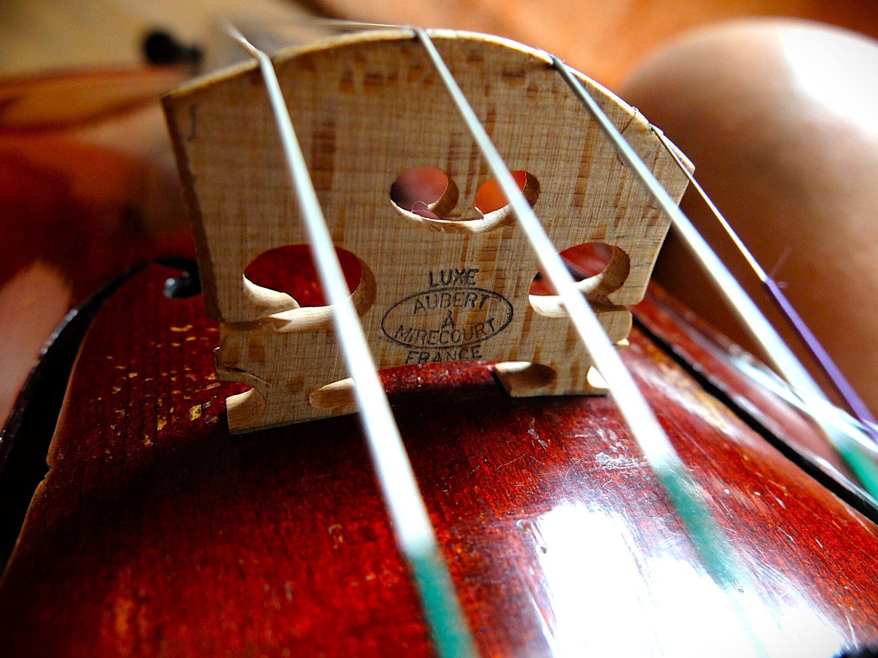 Strumenti musicali: Violine Geige 4/4 Nicolas Bertholini – Usato da Vinelz venduto da woerni11 4