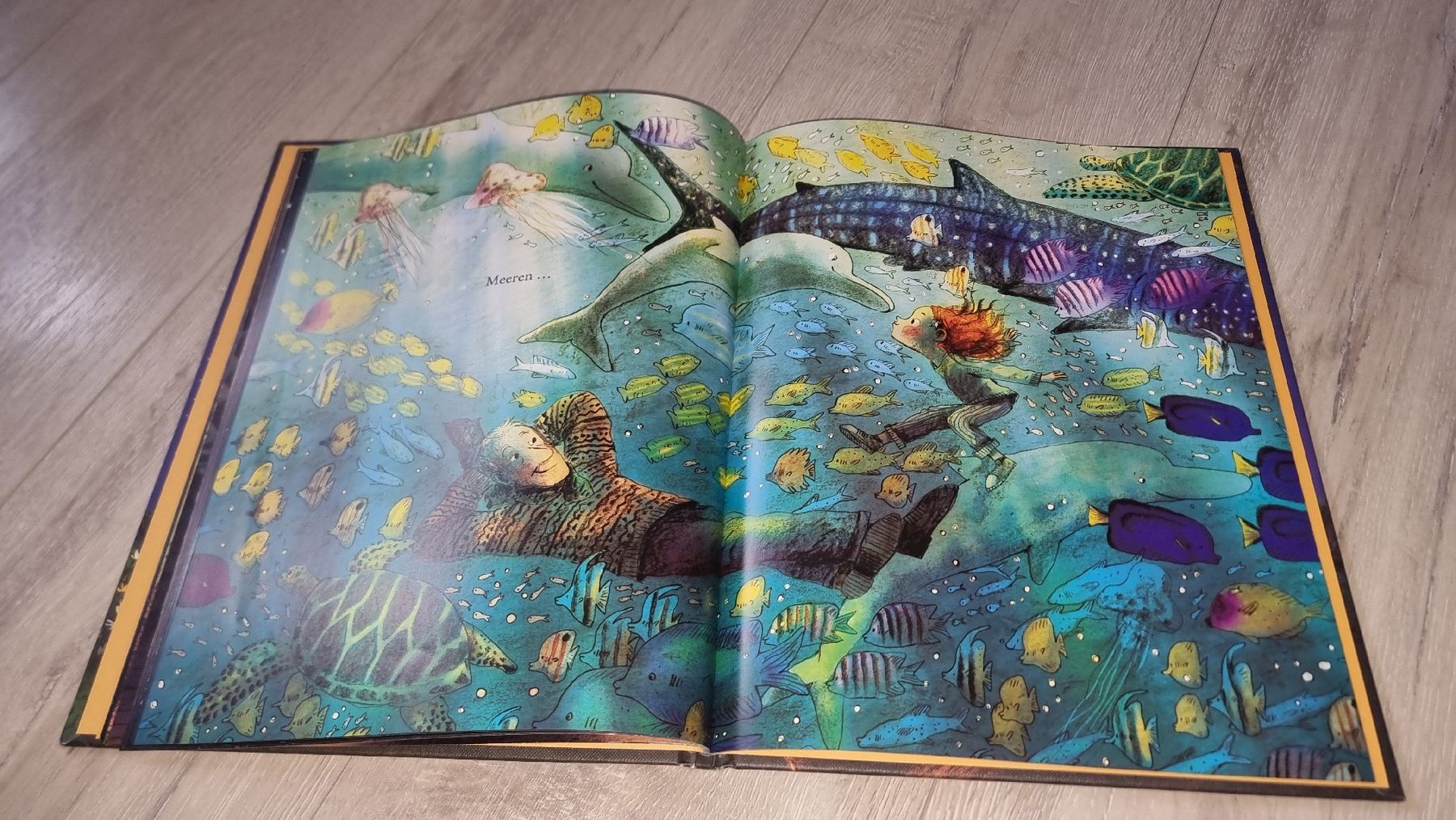Libri: Kinderbuch Sternenstaub von Jeanne Willis  – Usato da Wigoltingen venduto da Zuckerfee84 1