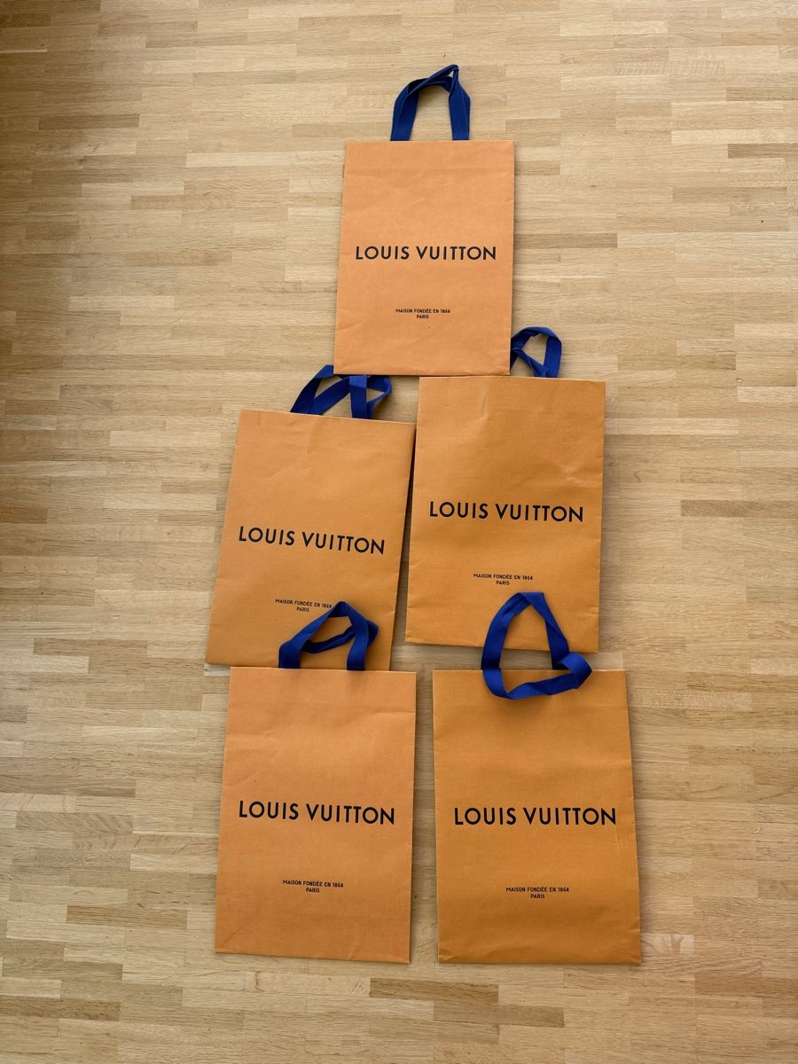 Borse: 5 Louis Vuitton Papiertragetaschen gebrauchter Zustannd – Usato da Winterthur venduto da -BeHappy24-