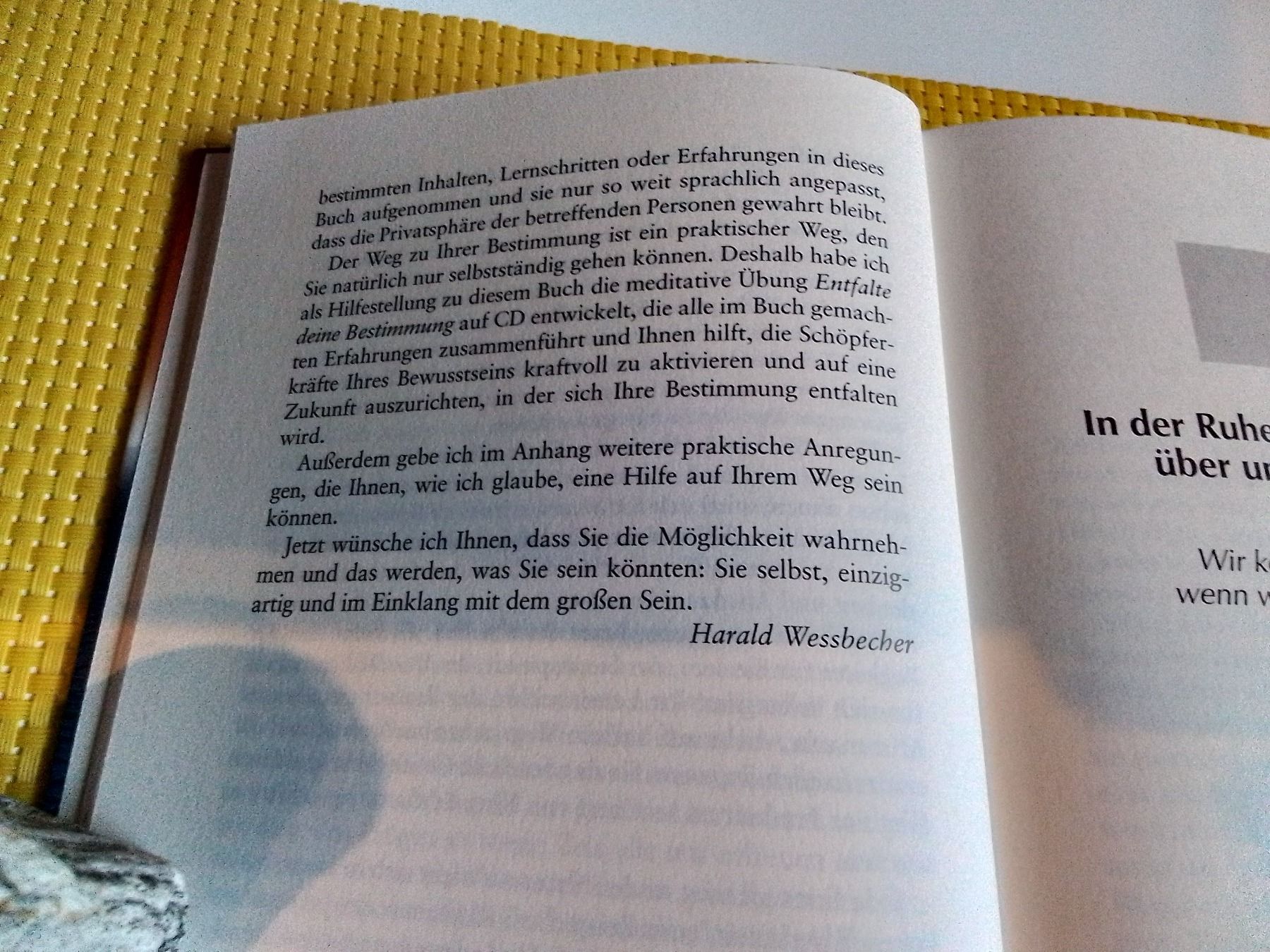 Libri: Entfalte deine Bestimmung - Klassiker – Usato da Rebstein venduto da Buchsi03 7