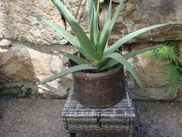 Chaudron en cuivre ancien avec anse état d'usage