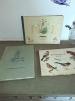 Alte Kinderbücher: Einheimische Vögel + Purzel-Hasengesch.