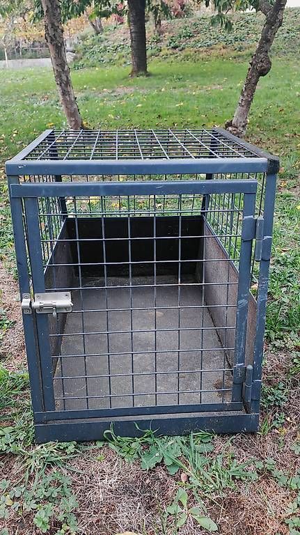Käfige, Transport & Sicherheit: Hundebox – Gebraucht aus Egliswil von hem_7t2b 1