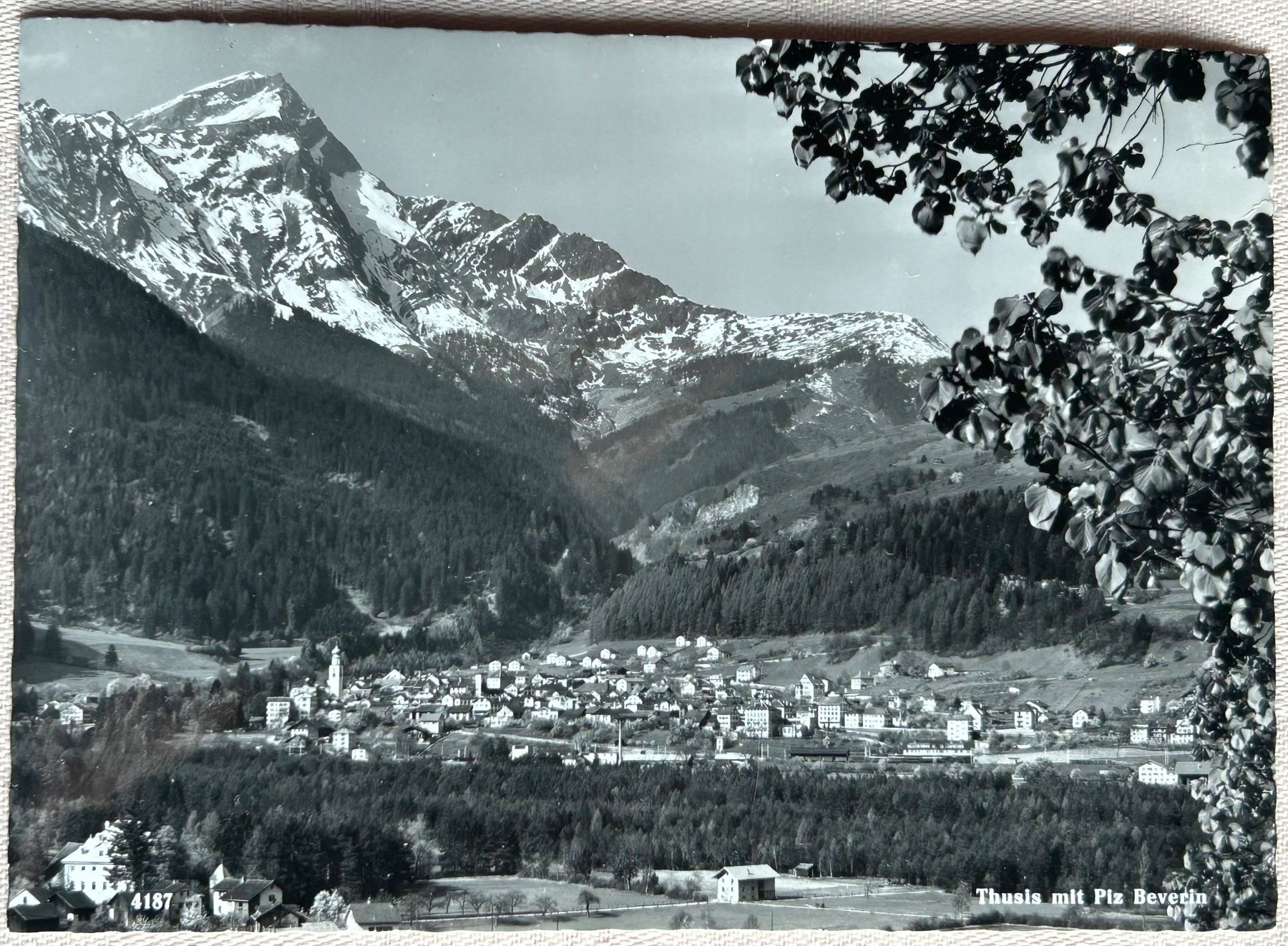 Cartoline postali: GR Thusis mit Piz Beverin – Nuovo (secondo la descrizione) da Gächliwil venduto da H-PL