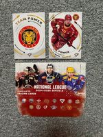 SportZoo Sammelkarten/Langnau/Logo/Flavio Schmutz/TeamPower