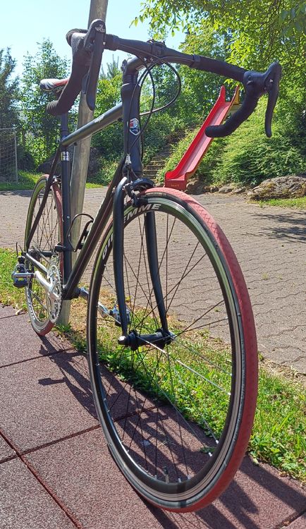 Campagnolo Biciclette: Da Vinci Campagnolo Rennrad Velo – Usato da Zürich venduto da kam_xg7p 4