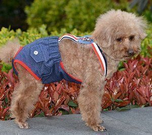 Secchi per pannolini & Pannolini: Hunde Höschen Gr. XL – Nuovo e nell'imballaggio originale da Matt venduto da Westigruppe 3