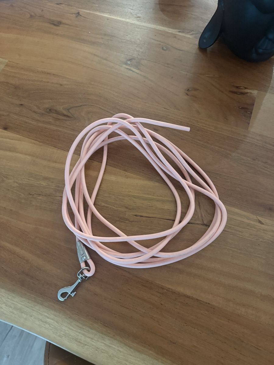 Dekobänder: Hunde leine – Gebraucht aus Amriswil von FitmentCompany